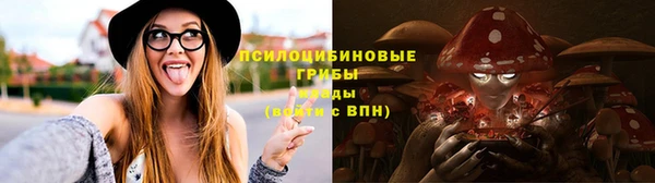 spice Абаза