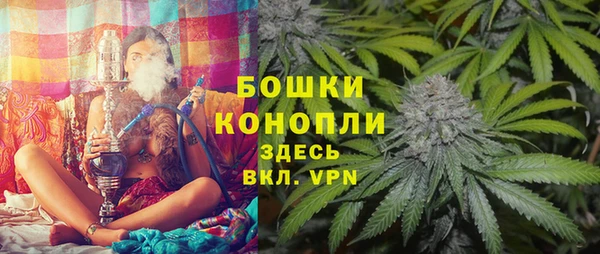 spice Абаза