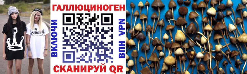 mega ссылка  Красноуфимск  Псилоцибиновые грибы Psilocybe  как найти закладки 